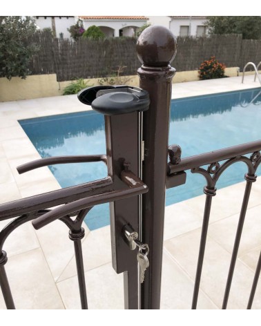 Système de sécurité du portillon pour l'accès à la piscine