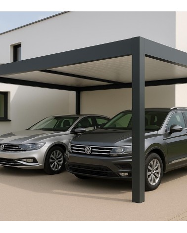 Carport aluminium 2 voitures