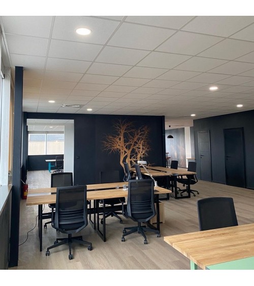 Espace de coworking à Toulouse