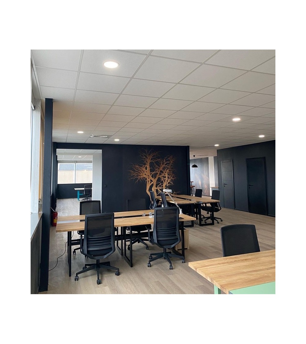 Espace de coworking à Toulouse