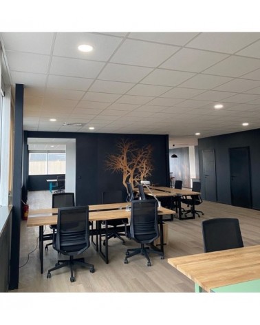 Espace de coworking à Toulouse