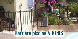 Barrière de piscine en fer forgé